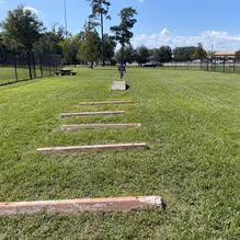 Ida Reed Dog Park
